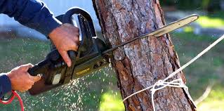 Mulching Services in Douglas, AL